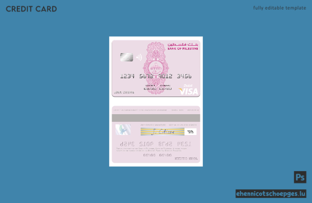 Beispielvorschau der Visa-Debitkarte der Bank von Palästina